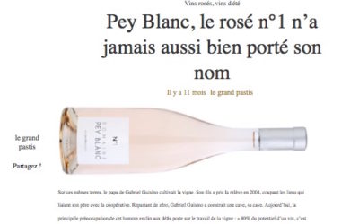 Revue de Presse « Pey Blanc, le Rosé N°1 n’a jamais aussi bien porté son nom! »